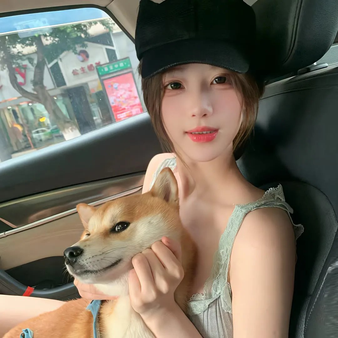 313套房 封面